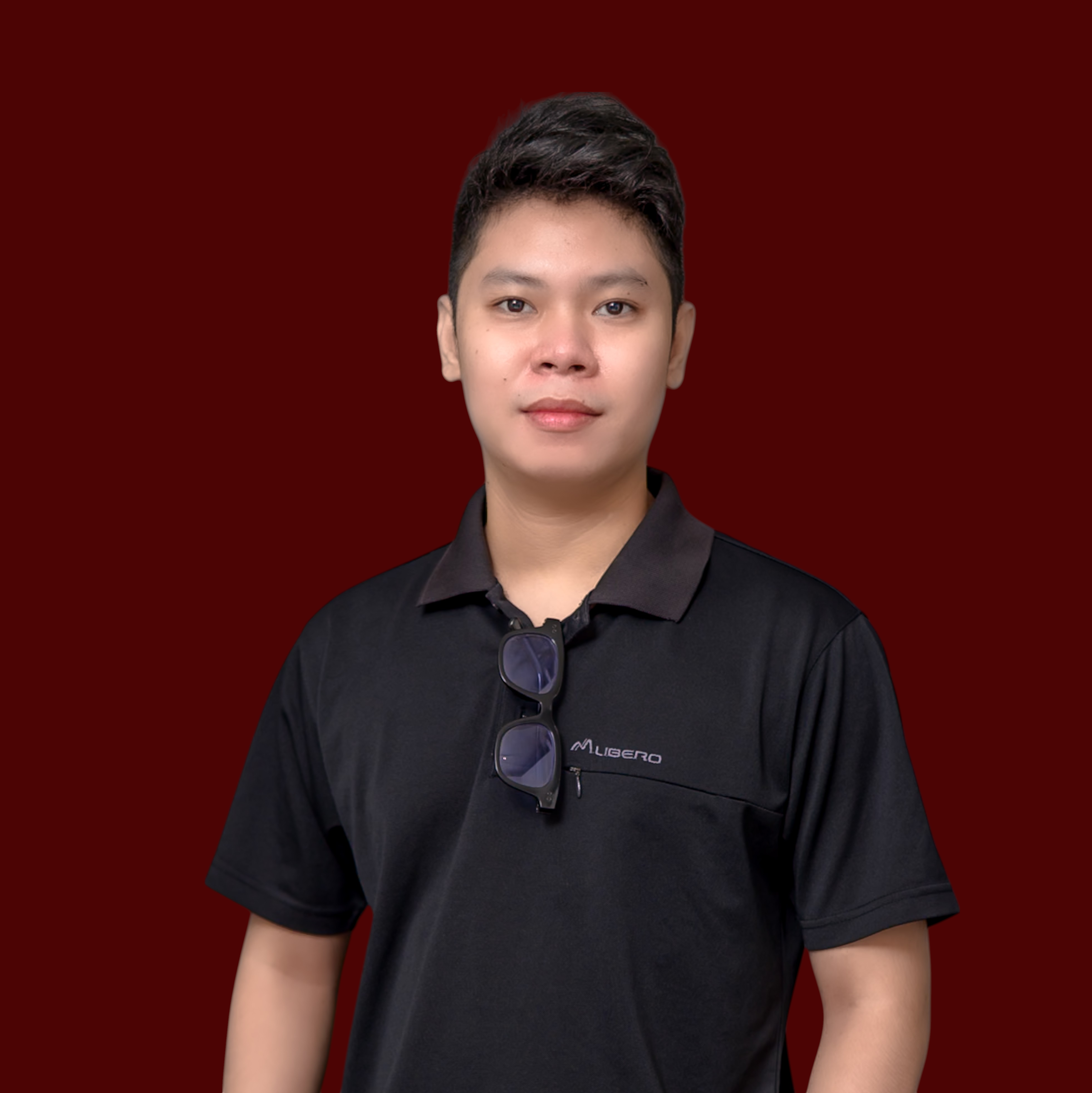 Arnel Cellona - Backend Developer and Software Engineer