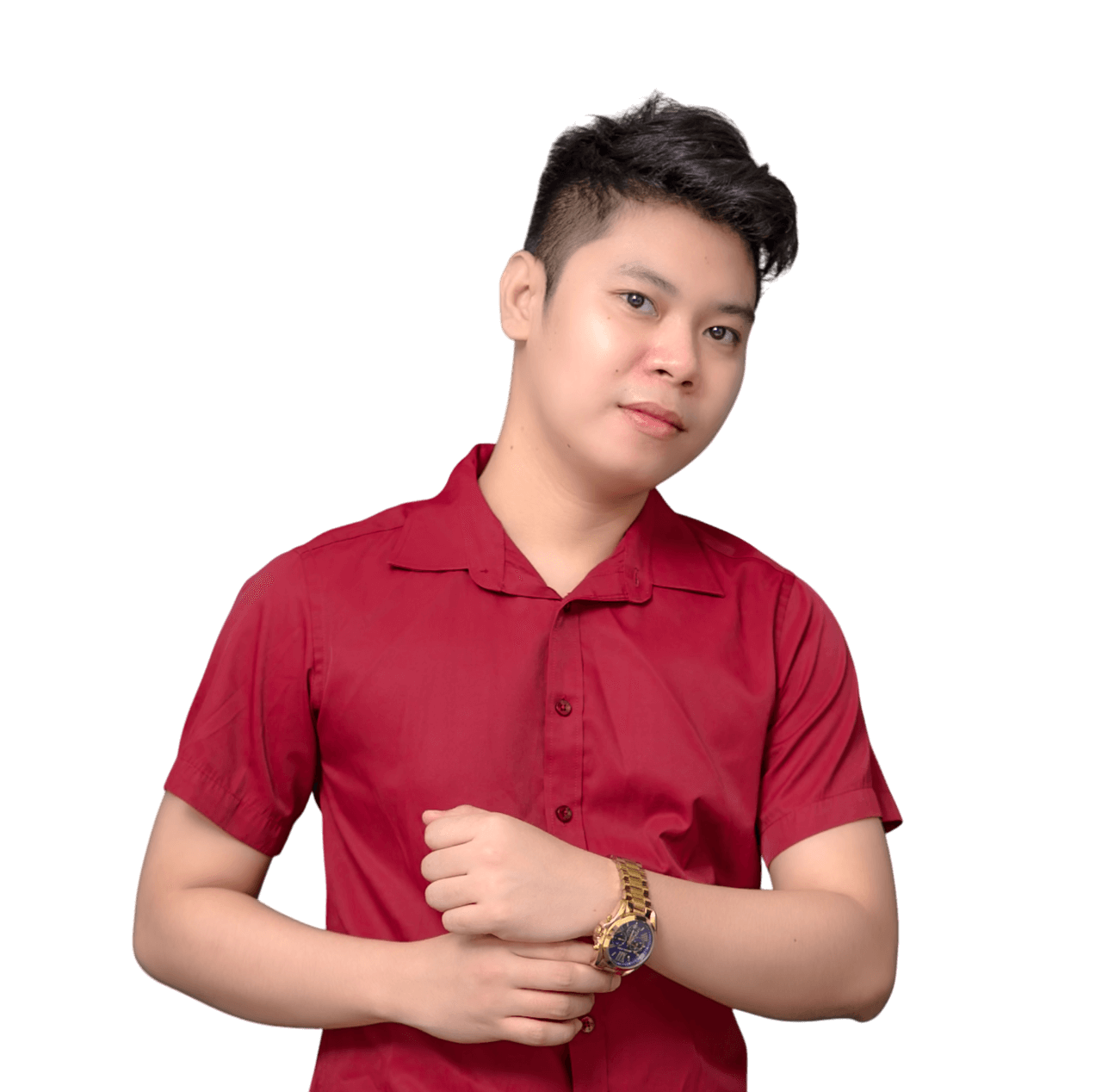 Arnel Cellona – React JS Developer